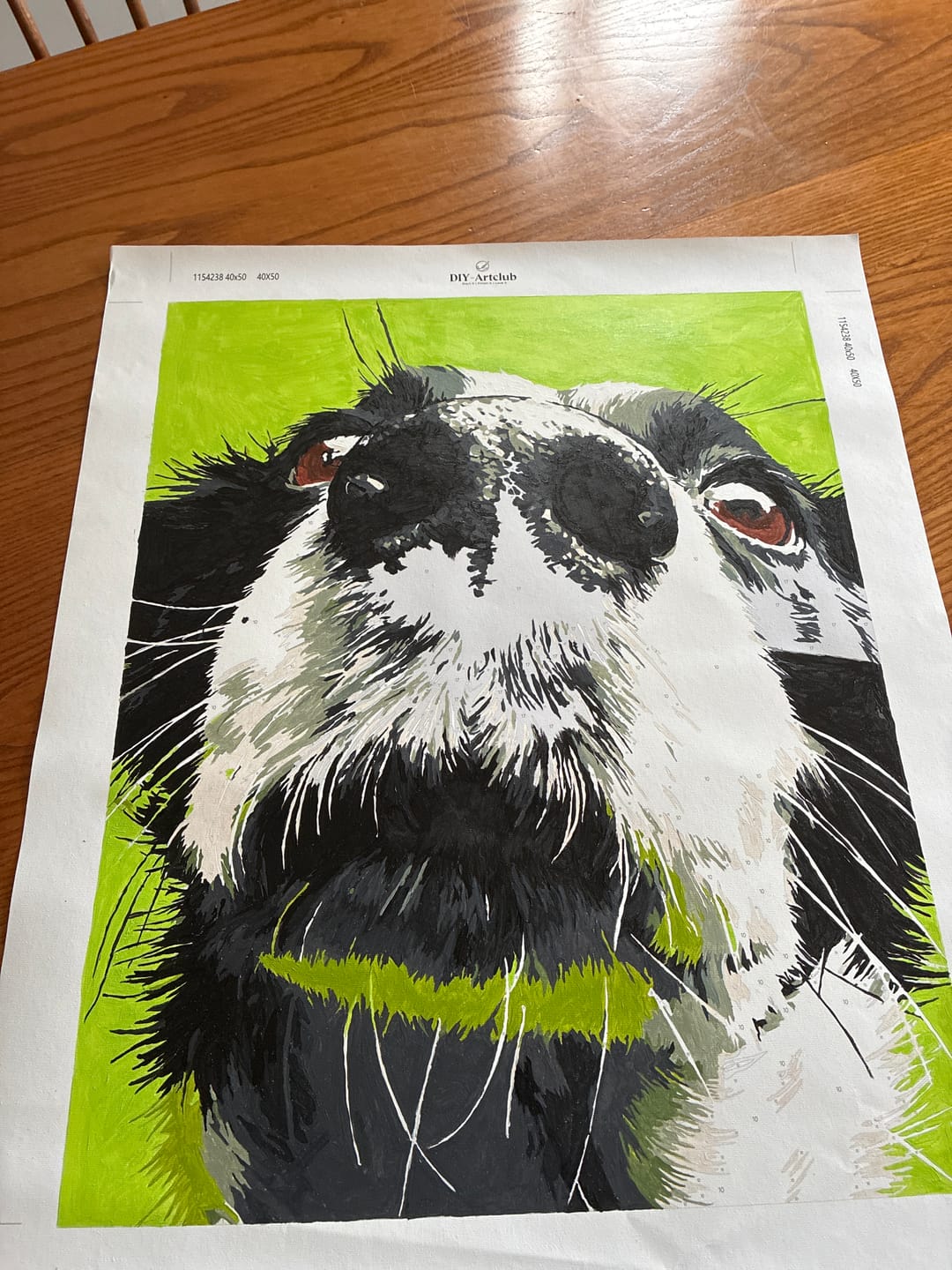 Customer photo review of Sniff Mode | Paint by Number