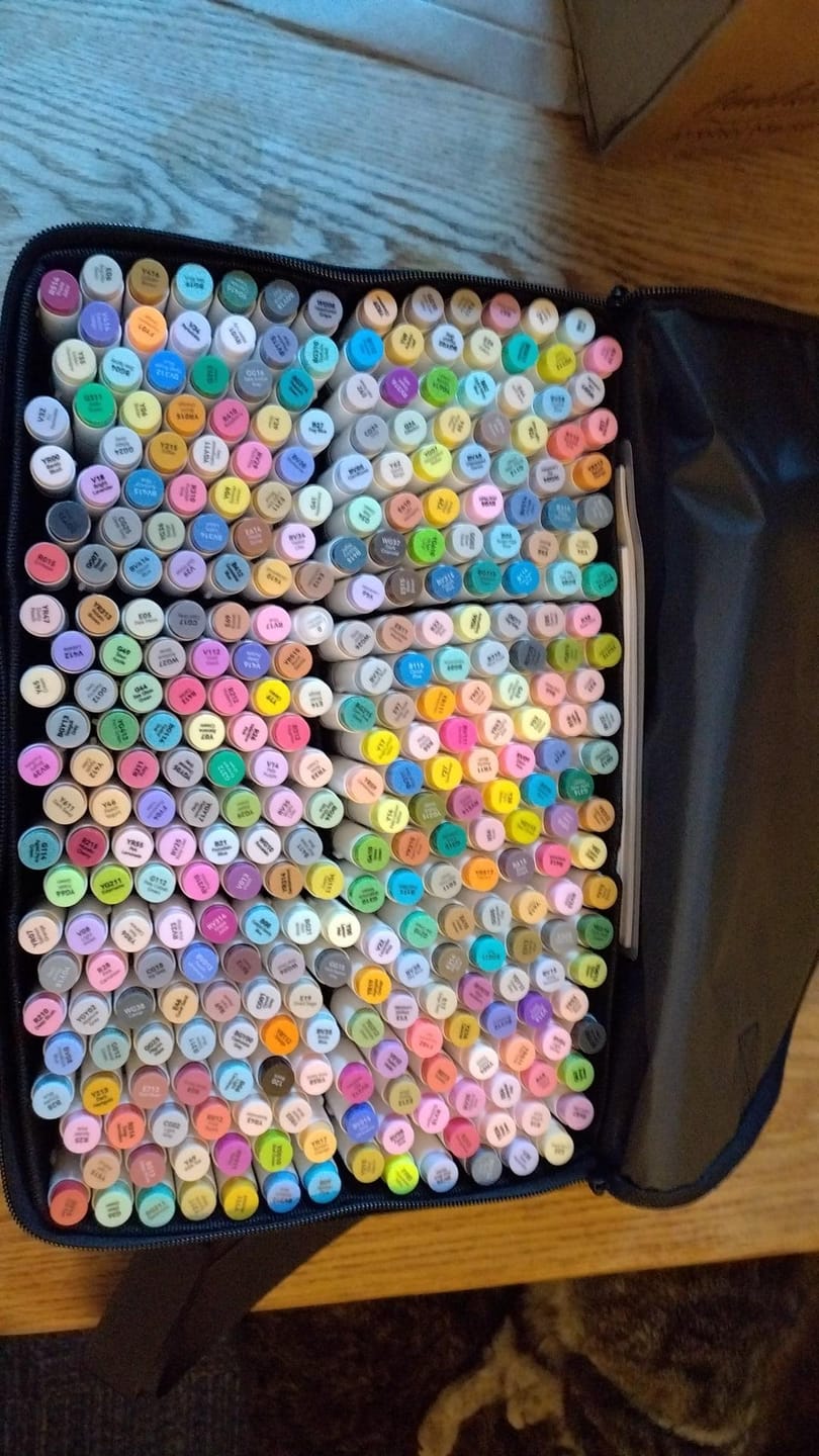 Customer photo review of Ohuhu Honolulu 320 Colors Dual Tips Alcohol Art Markers (New Color Codes)