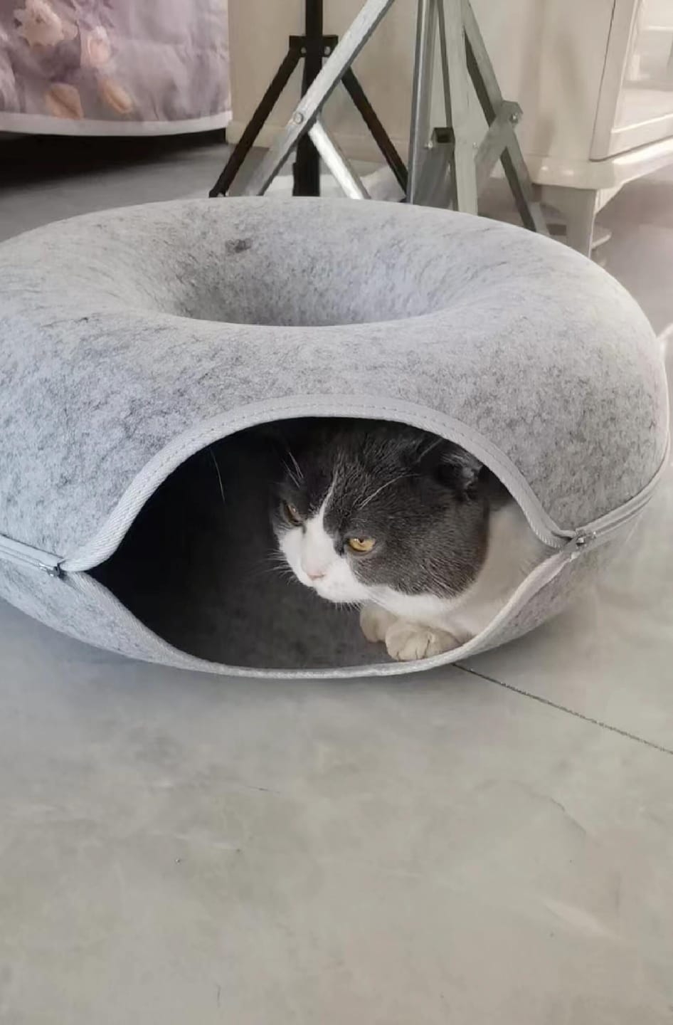 Customer photo review of Donut Tunnel Cat Bed