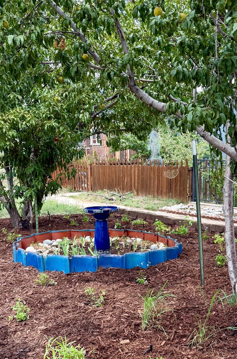 Customer photo review of Cobalt Bloom Solar Birdbath