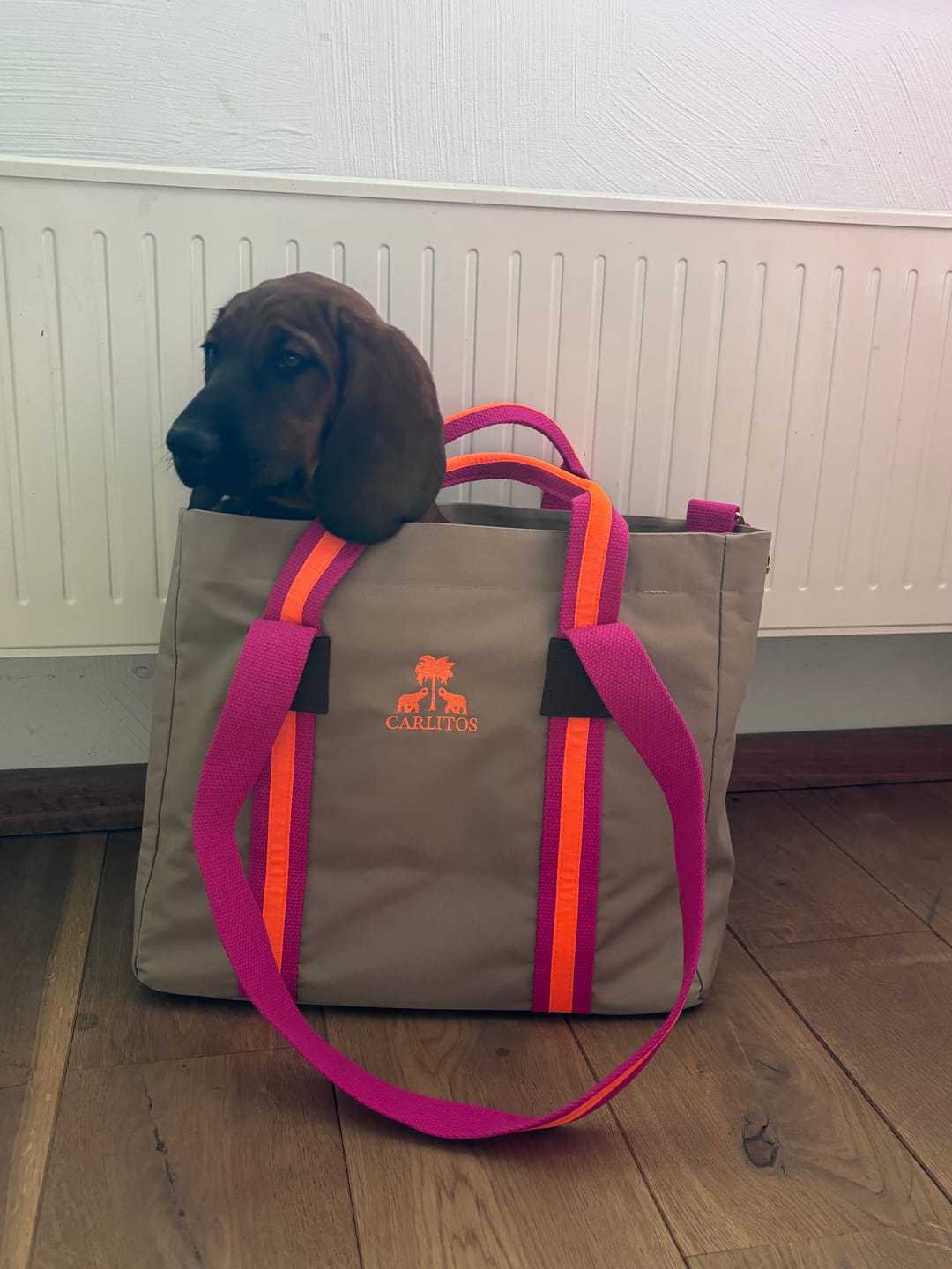 Customer photo review of Shopper STRIPES KODURA -S- Beige & Neonorange
