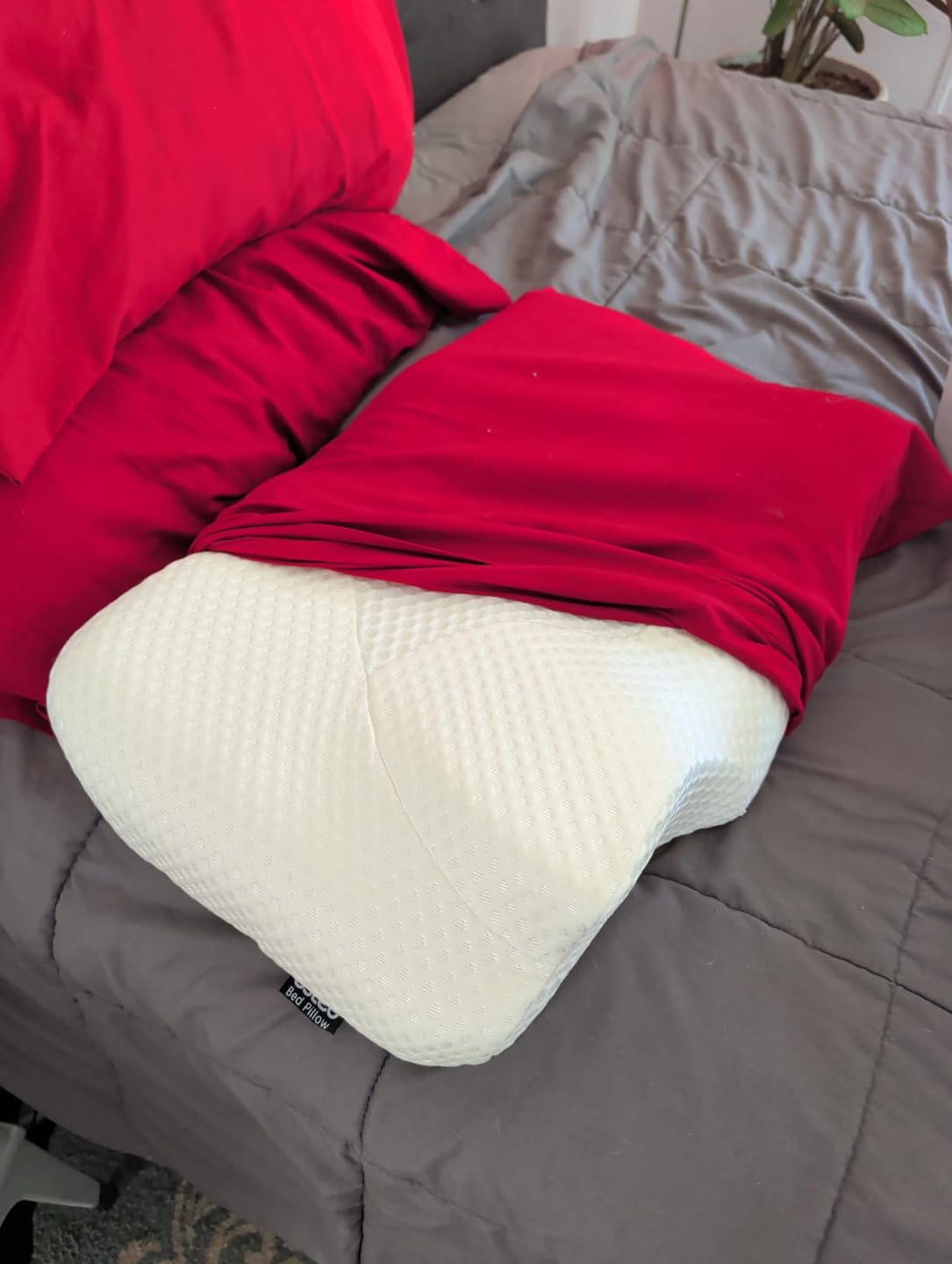 Customer photo review of Ergonomisches Nackenstützkissen ErgoNest – Höhenverstellbar