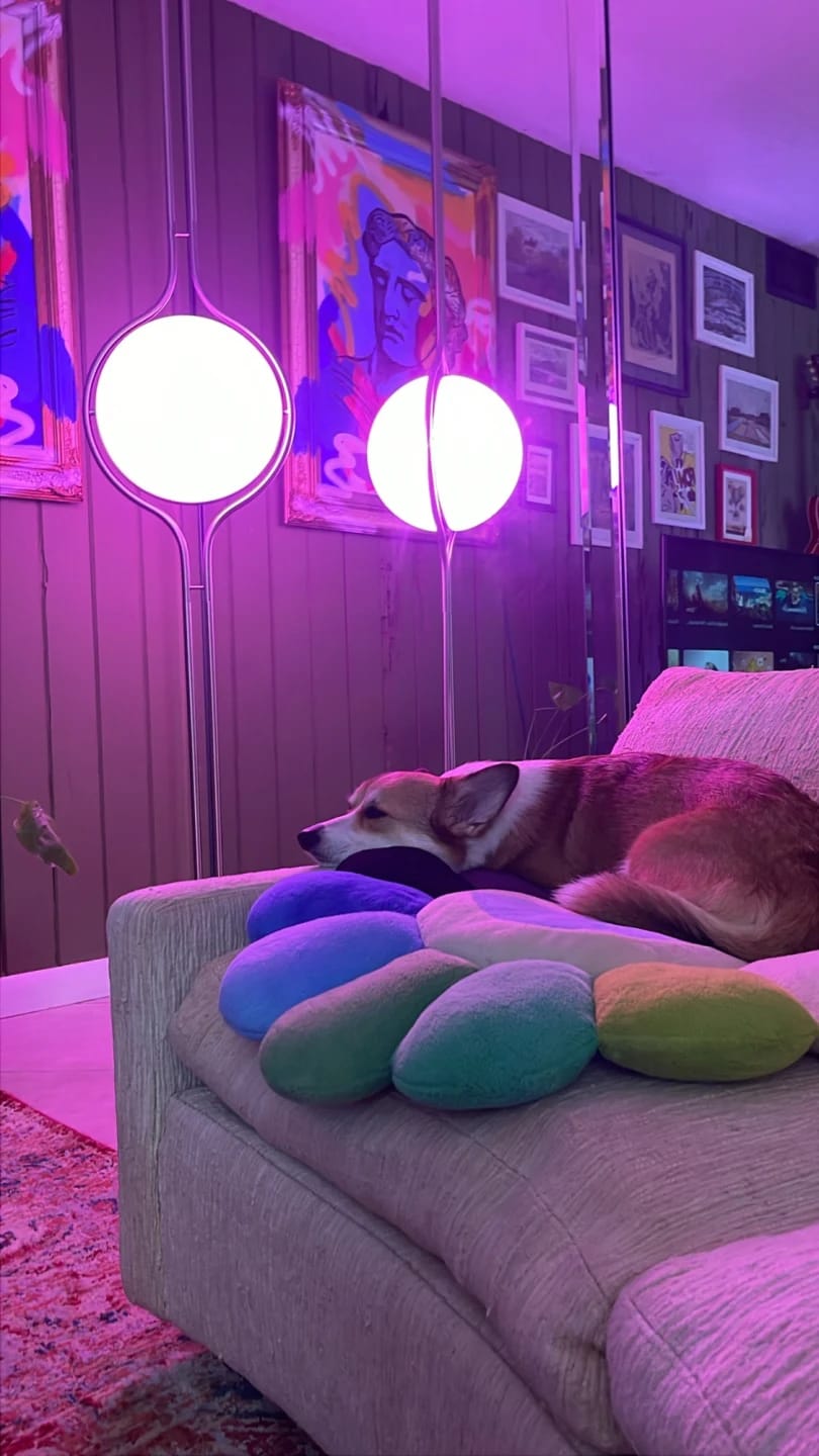 Customer photo review of Tension Pole Floor Lamp for Living Room, 250 to 280 cm