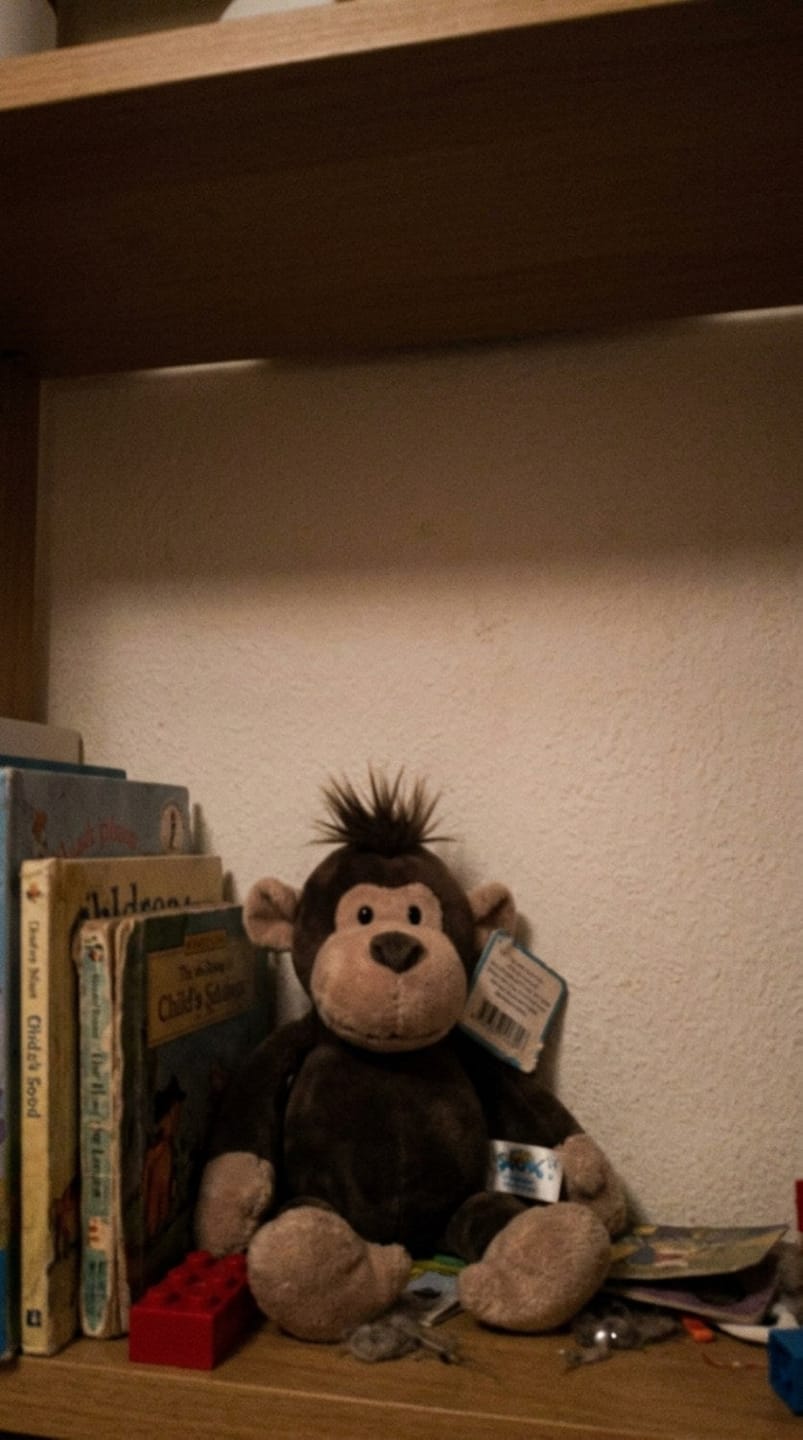 Customer photo review of Tier Kuscheltier Kollektion für Kinder | Weiches Plüschtier Stofftier ab 2 Jahre