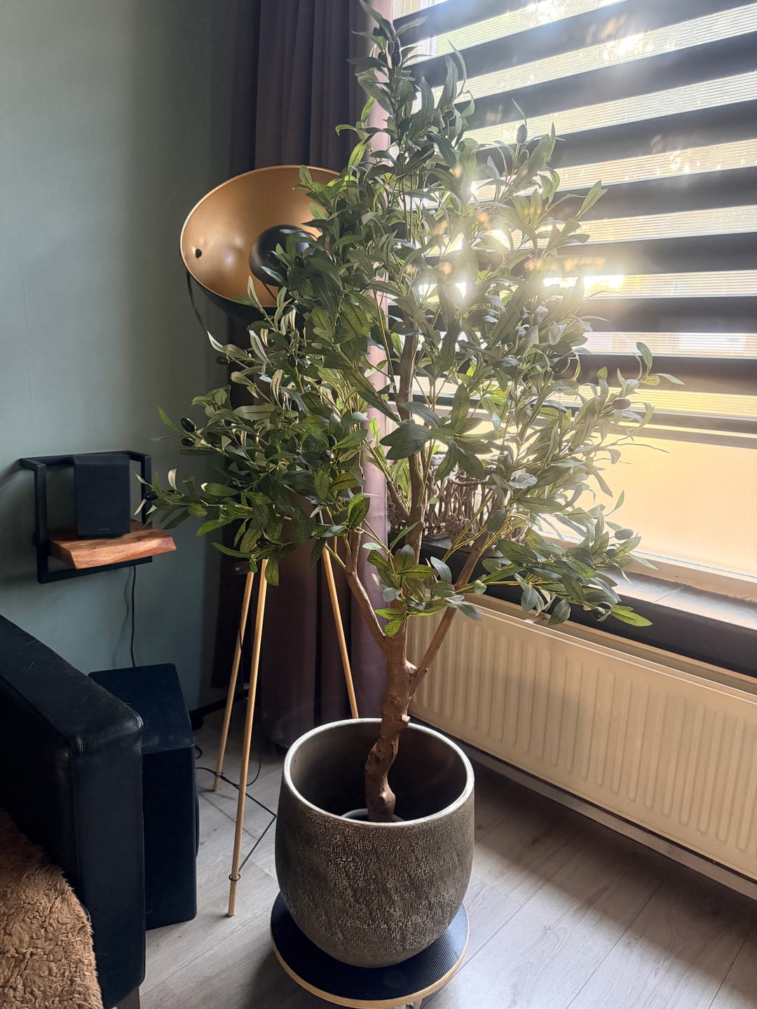Customer photo review of Kunst Olijfboom 150cm