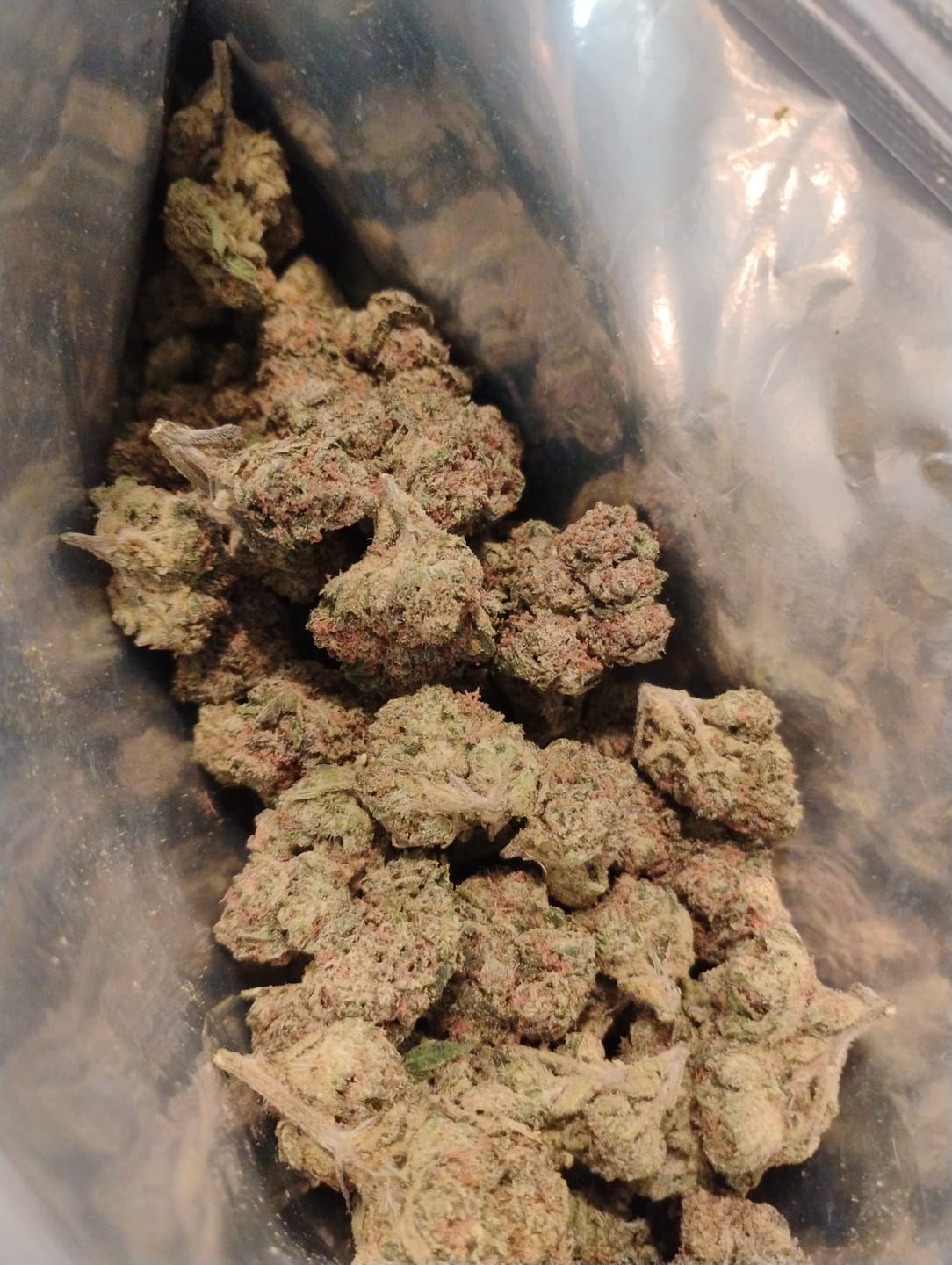 Customer photo review of Cheap Indoor THCA Flower Ounce