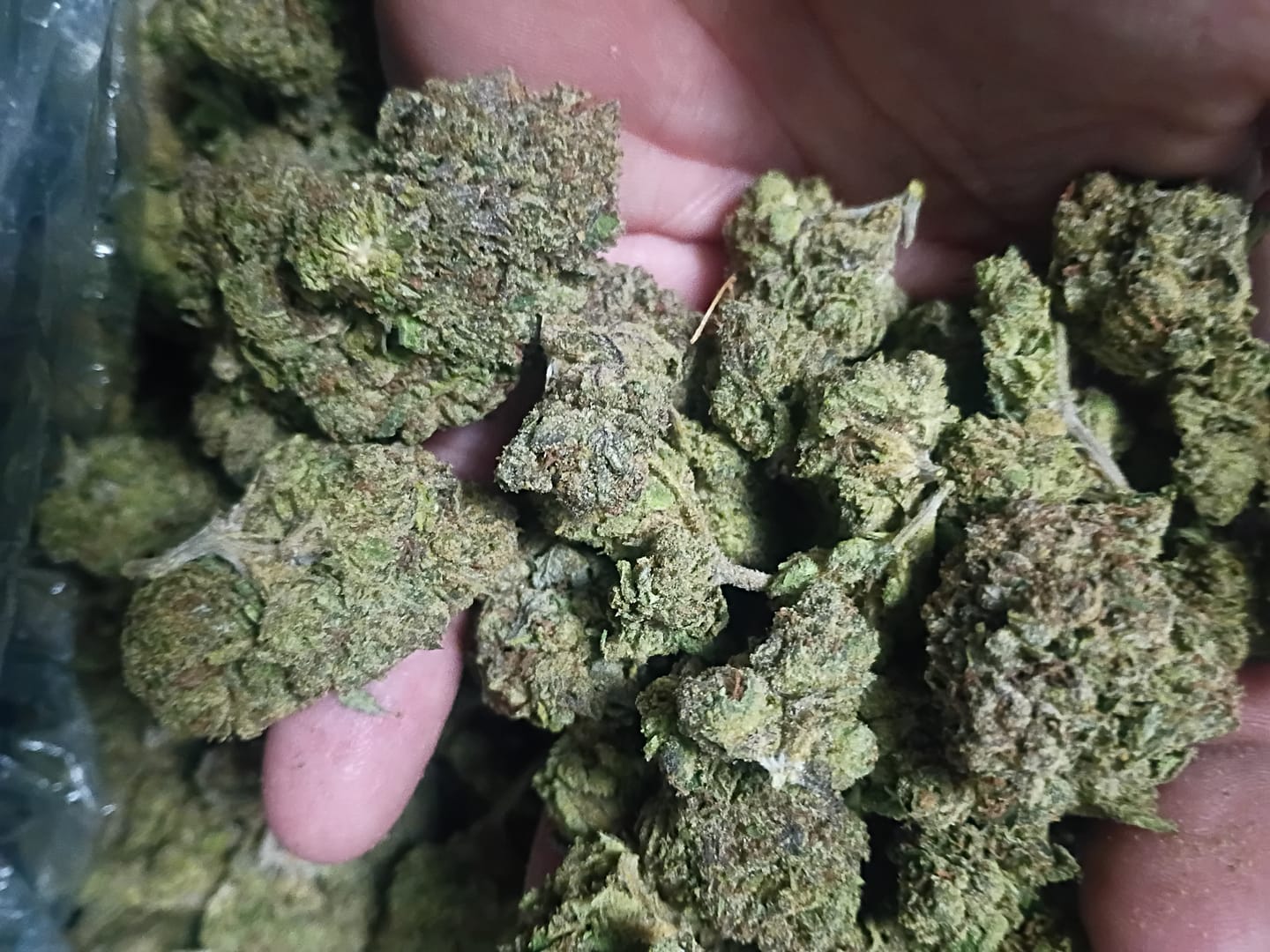 Customer photo review of THCA Queen