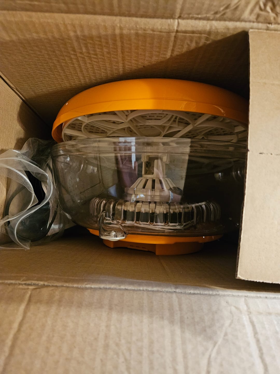 Customer photo review of The Wild Card Mystery Box - Chance at Everything Box