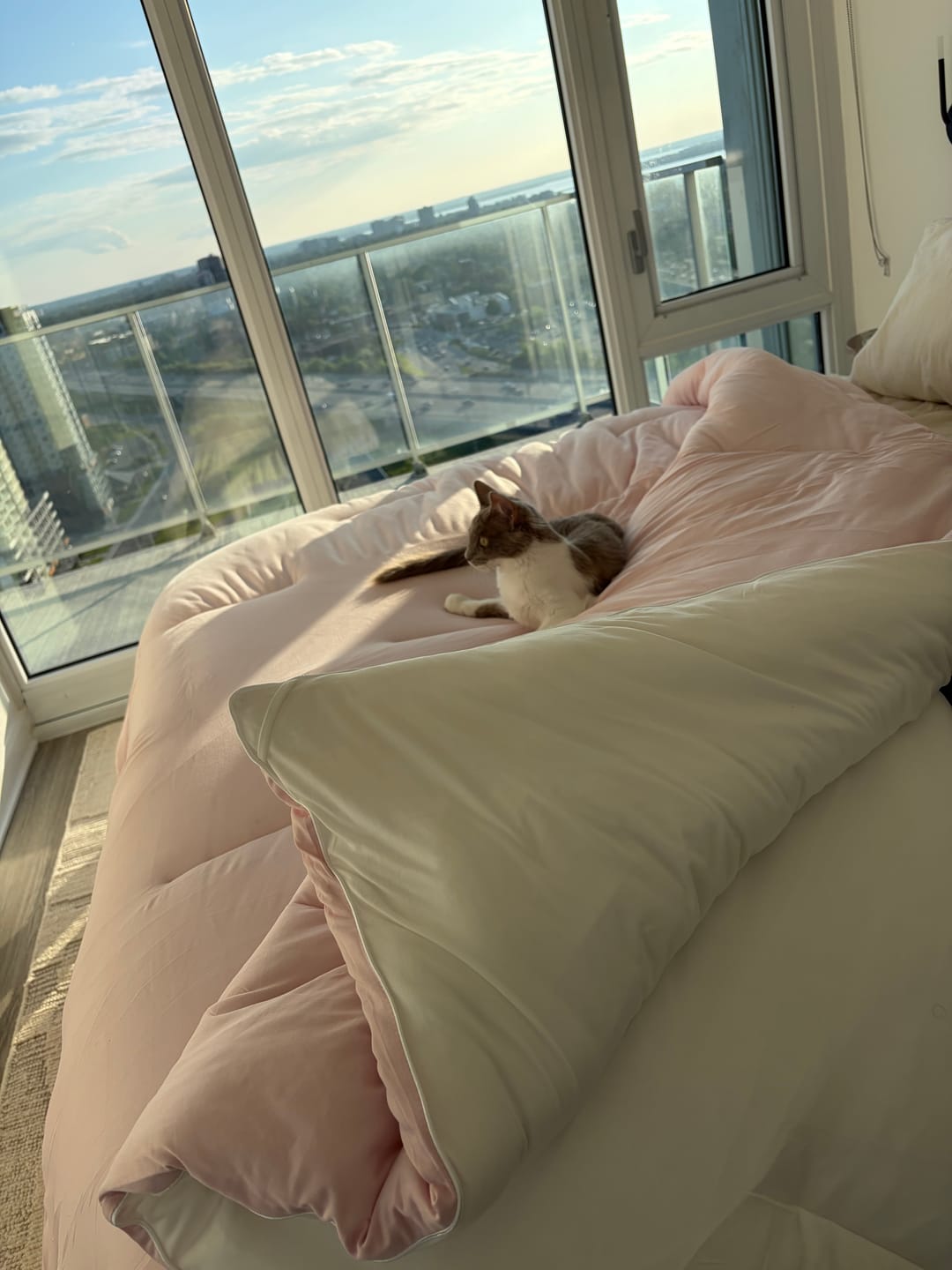 Customer photo review of MarshMellow Comforter