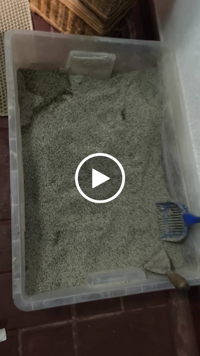 Customer video review of Arena Minino 24kg - Carbón Activo