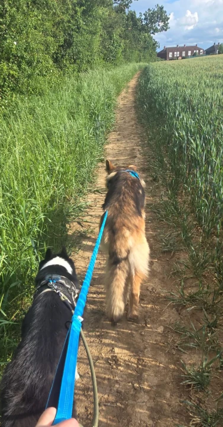 Customer photo review of Harnais Anti-Traction | Mizu