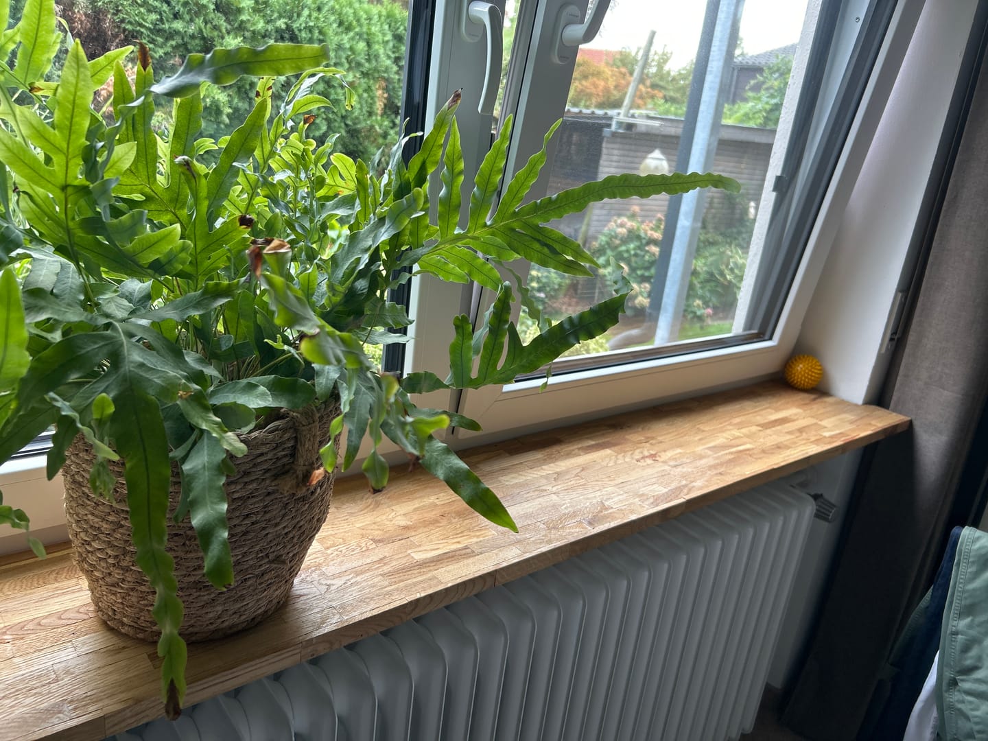 Customer photo review of Easy-Sticks 3.0 Kurz - Eiche - 12 x 2,4 x 0,8 cm
