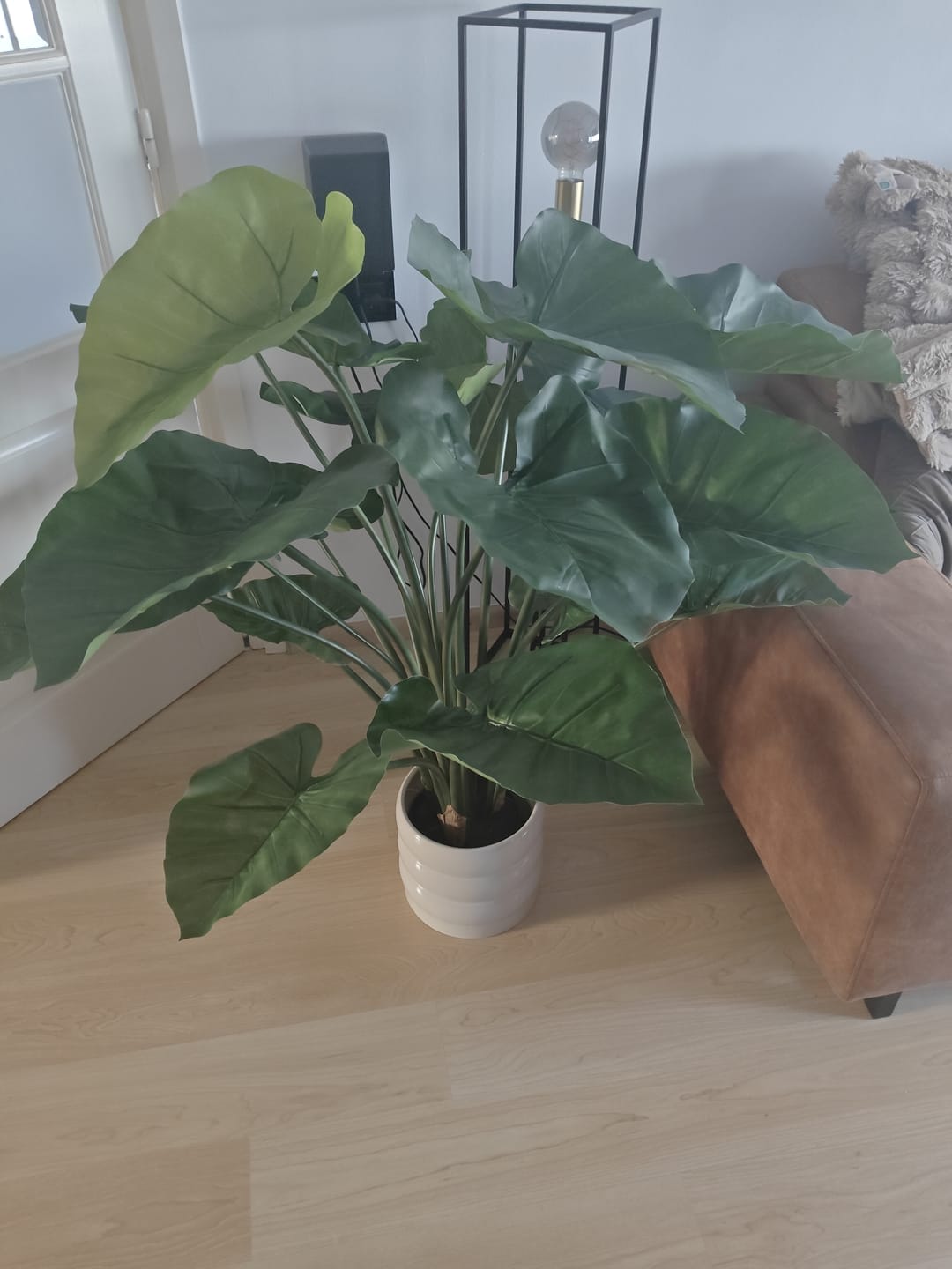 Customer photo review of Alocasia Kunstplant 100cm