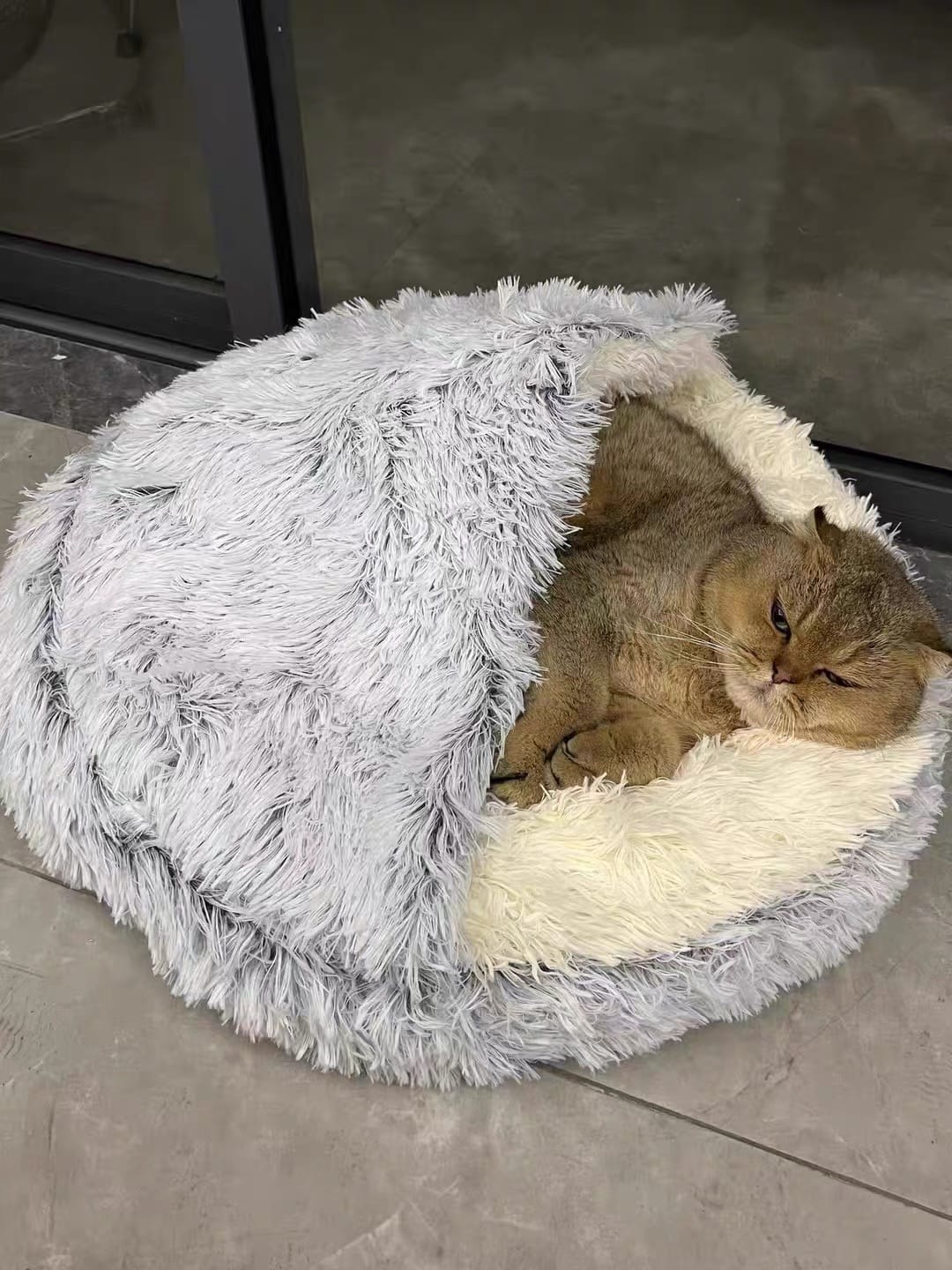 Customer photo review of [BEST SELLER] Snuggle into Comfort with the 2-in-1 Bed