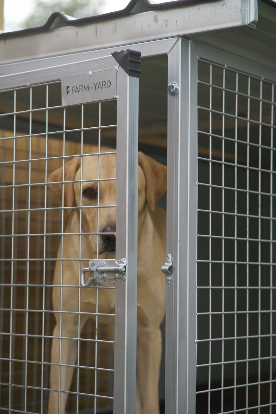 Customer photo review of Raised Safety Kennel