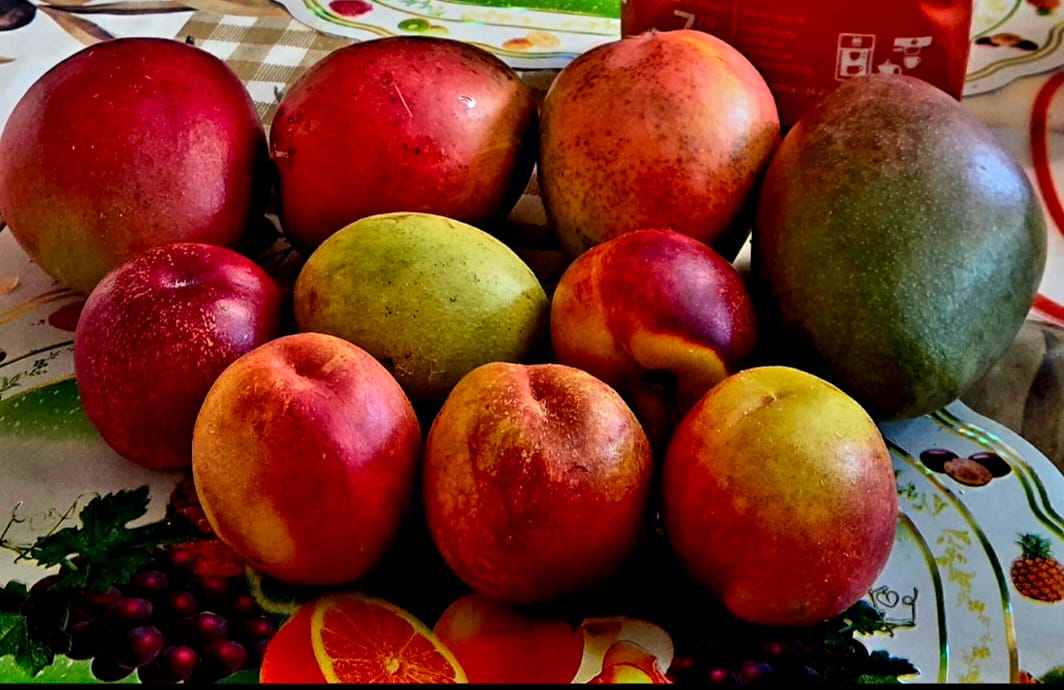 Customer photo review of Mango-Raritäten Mix von Julian
