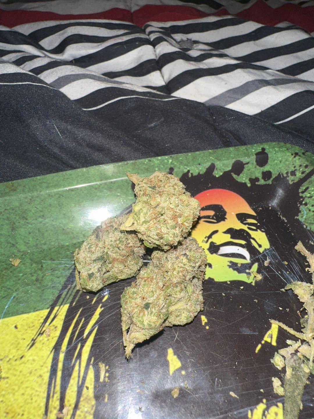 Customer photo review of The Tea Party Bundle - 2 oz THCA (Premium & Exotic)