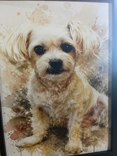 Customer photo review of Personalised Poster - Watercolour Realistic Portrait