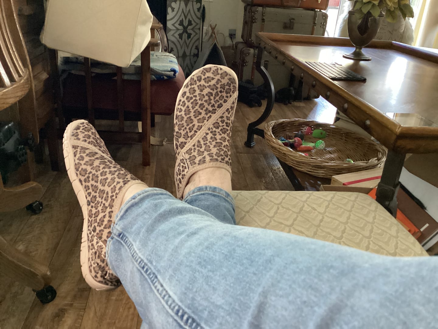 Customer photo review of Solyn-BOGO
