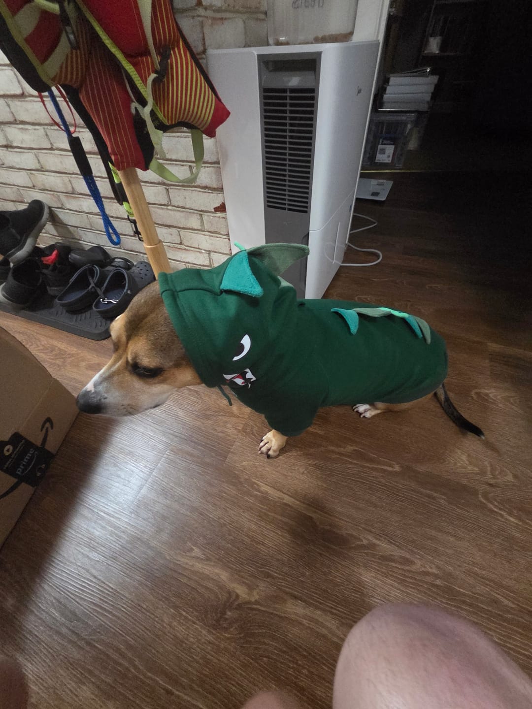 Customer photo review of Halloween Dog Hoodie - Dinosaur