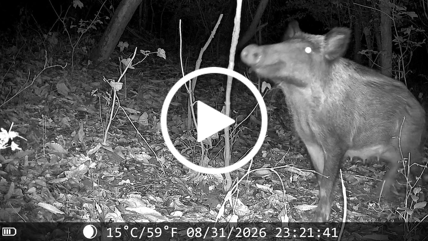 Customer video review of NatureEye Pro