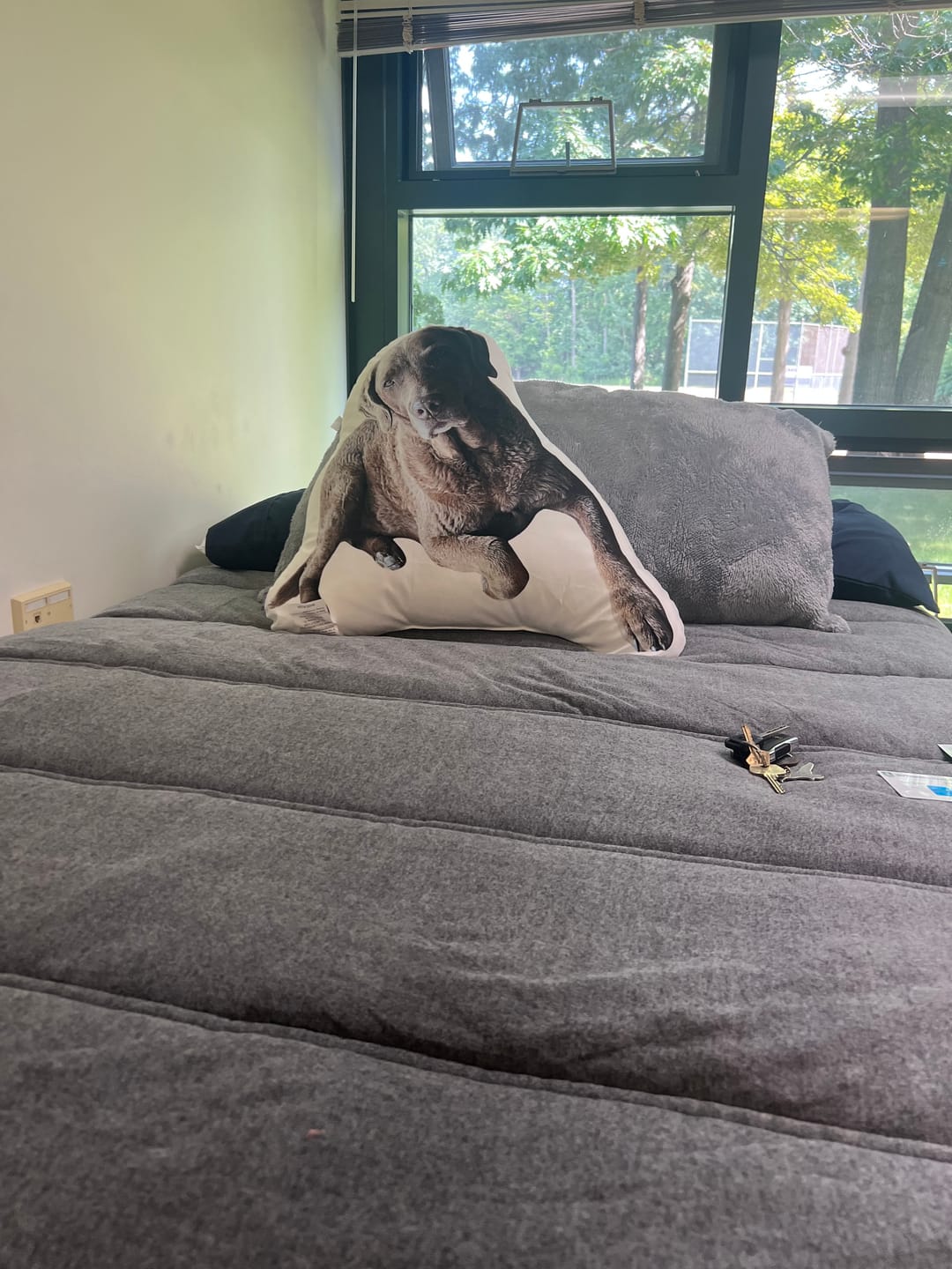 Customer photo review of Sheet Sets