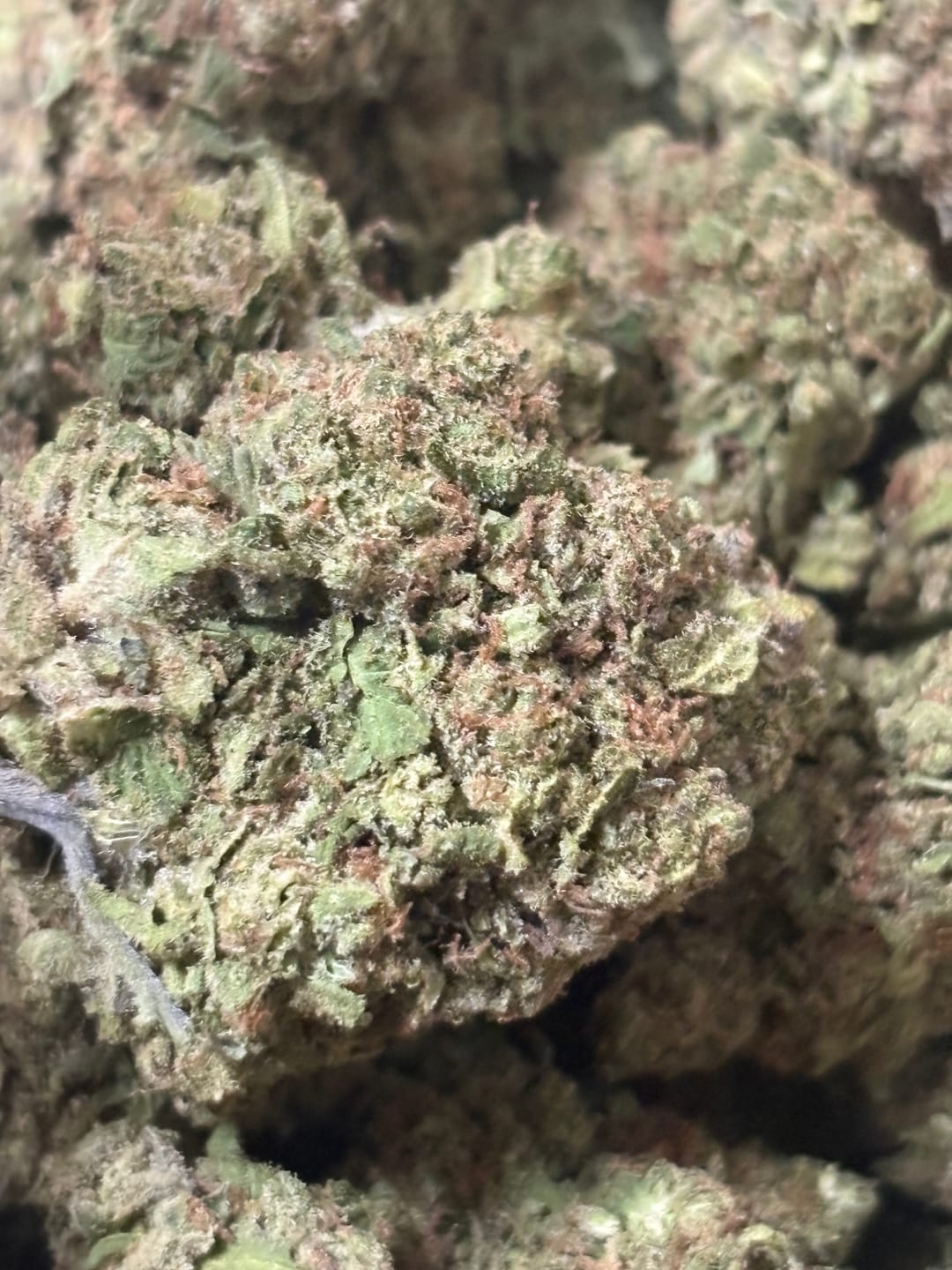 Customer photo review of Frozen Lemons THCA Flower