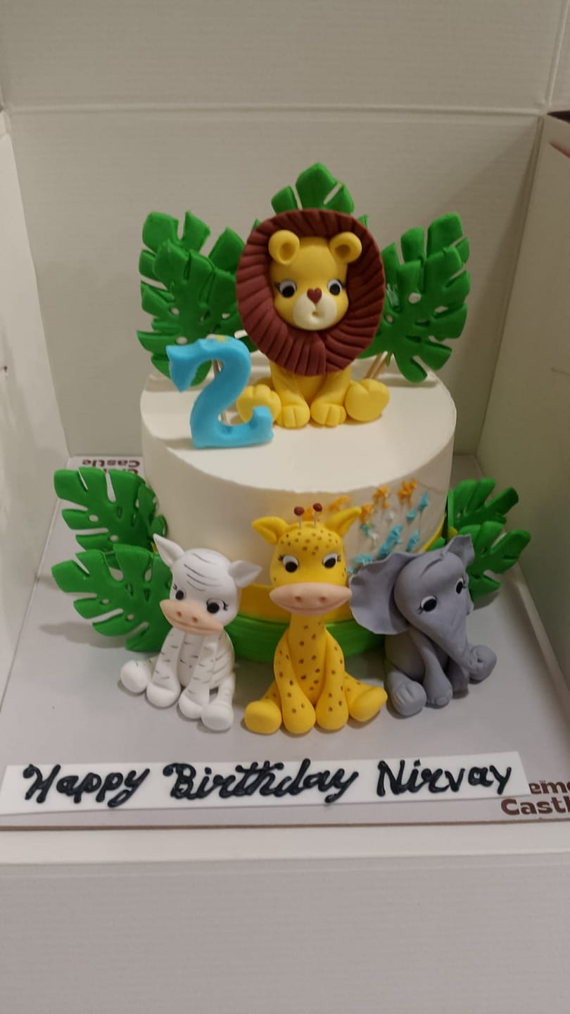 Customer photo review of Animal Party Birthday Cake