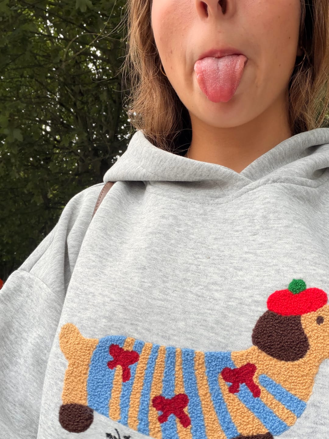 Customer photo review of Aelfric Eden Cartoon Dachshund Hoodie