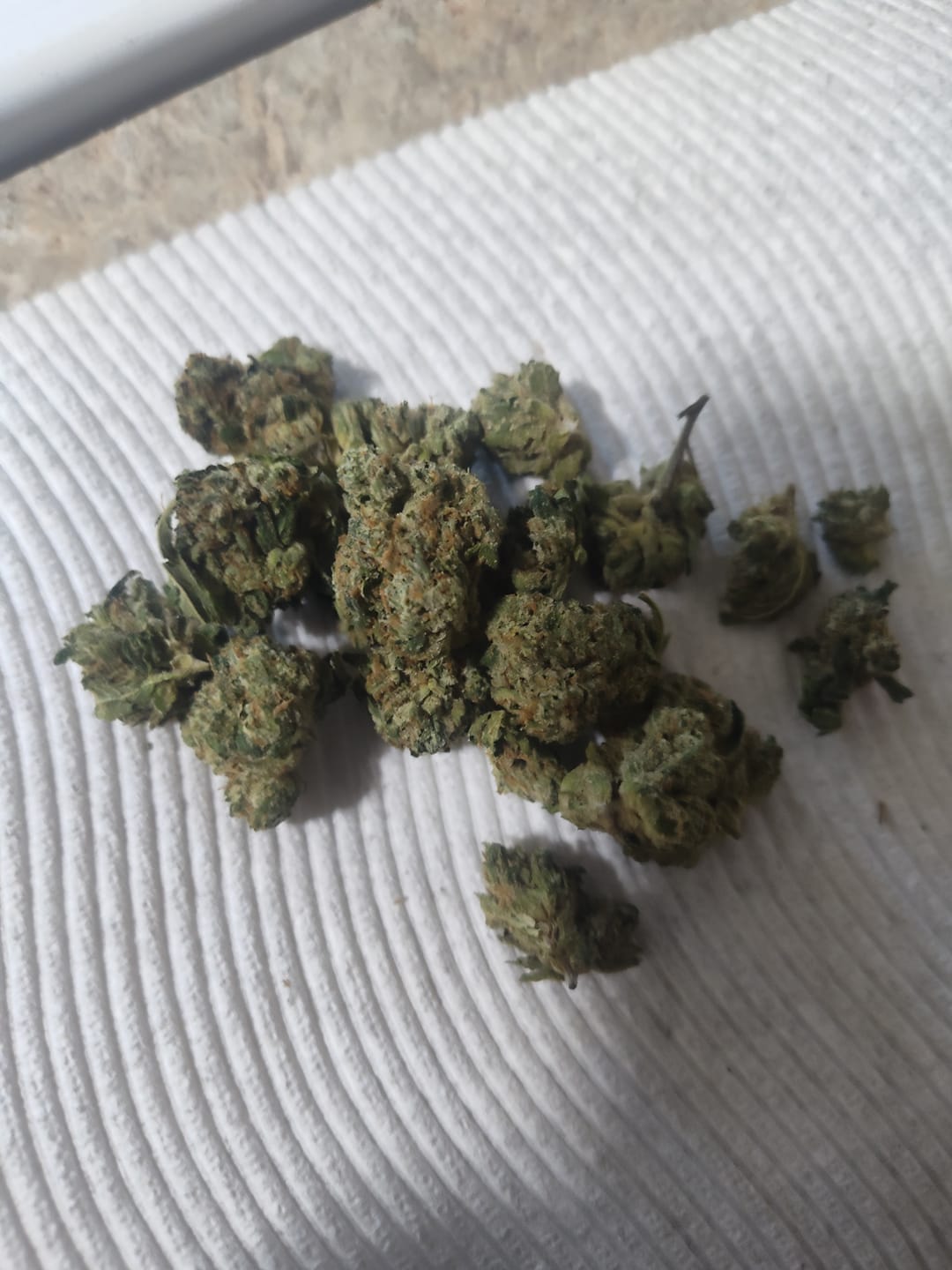 Customer photo review of Georgia Pie THCA Flower (Budget)