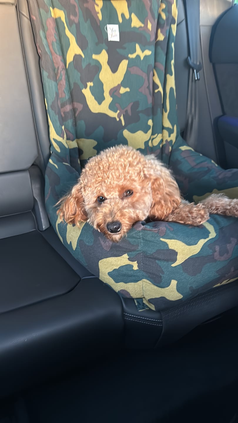 Customer photo review of Seggiolino Auto Cotone Panama Camouflage
