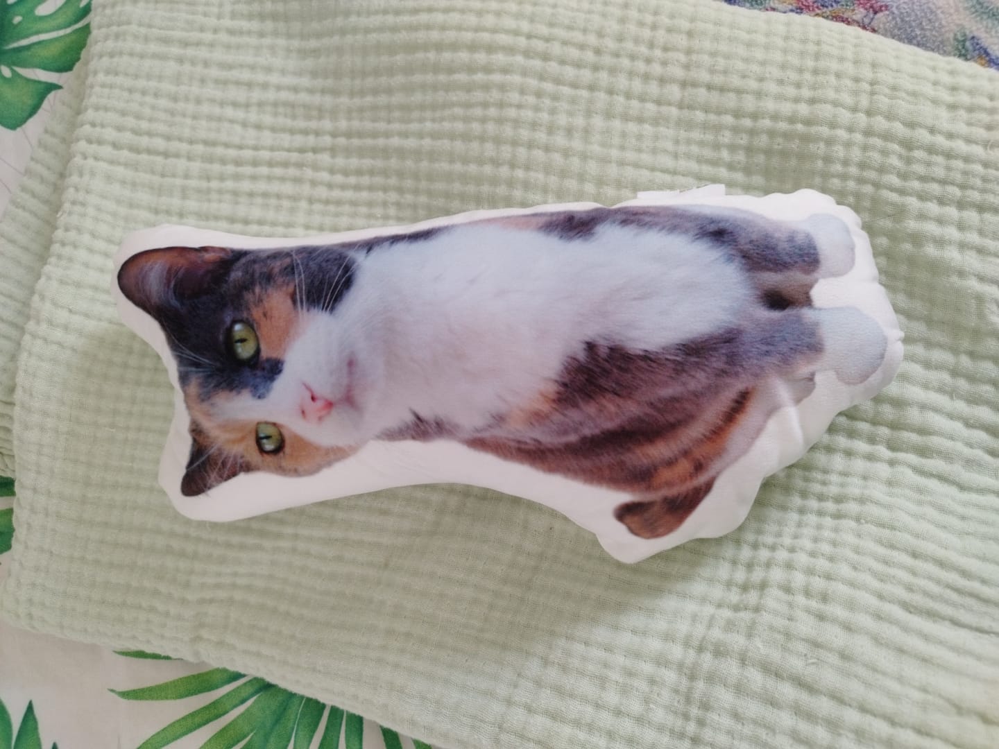 Customer photo review of Kuschelstoff