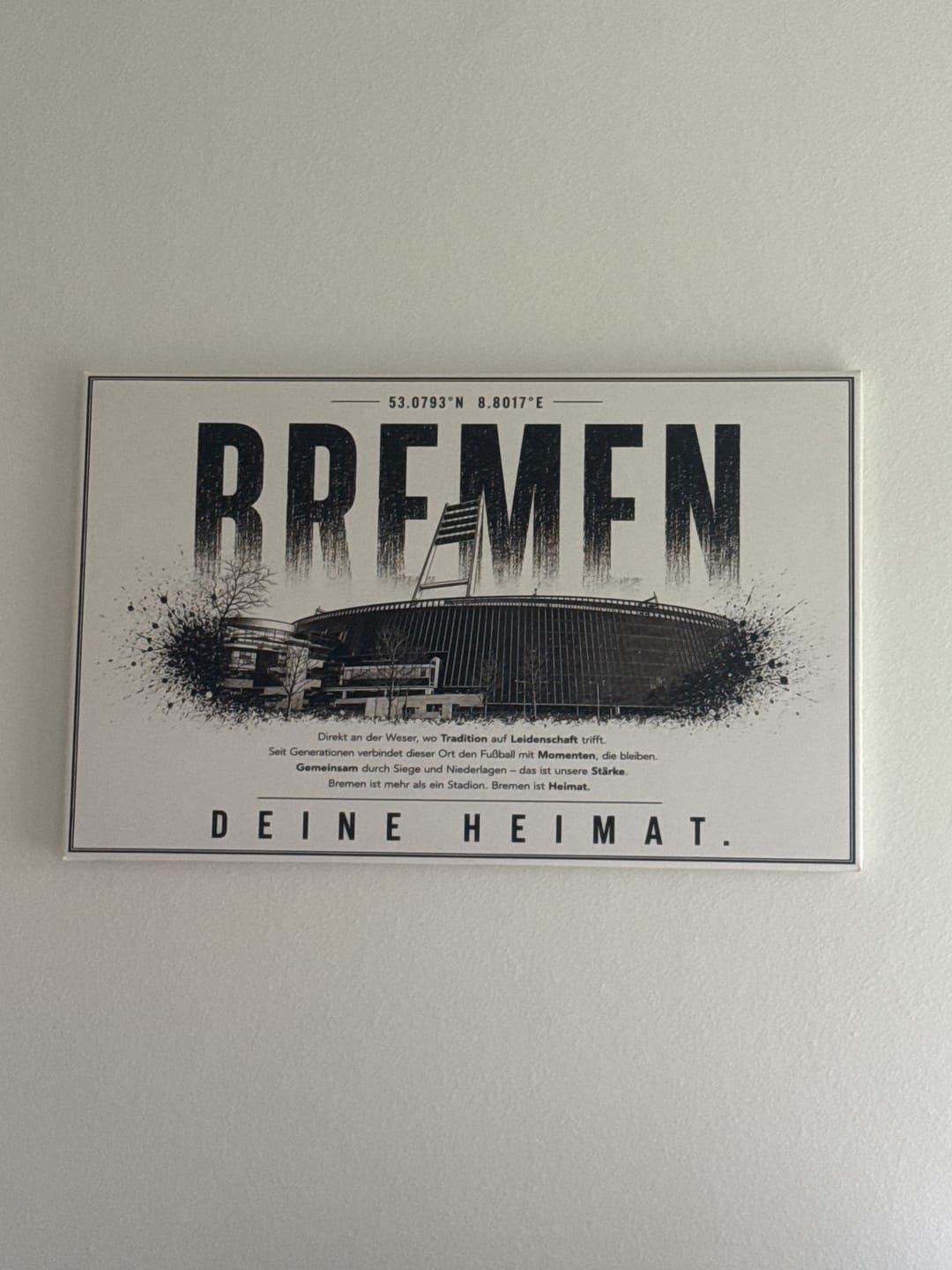 Customer photo review of Bremen Stadion Leinwand