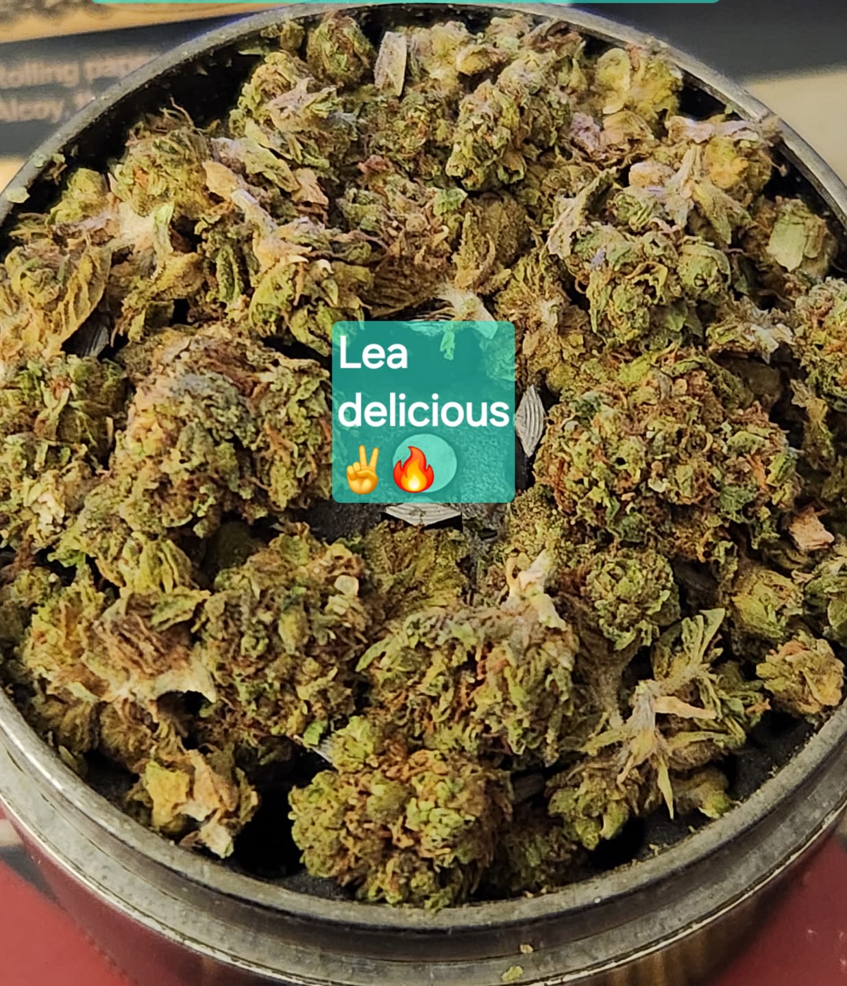 Customer photo review of THCA Queen