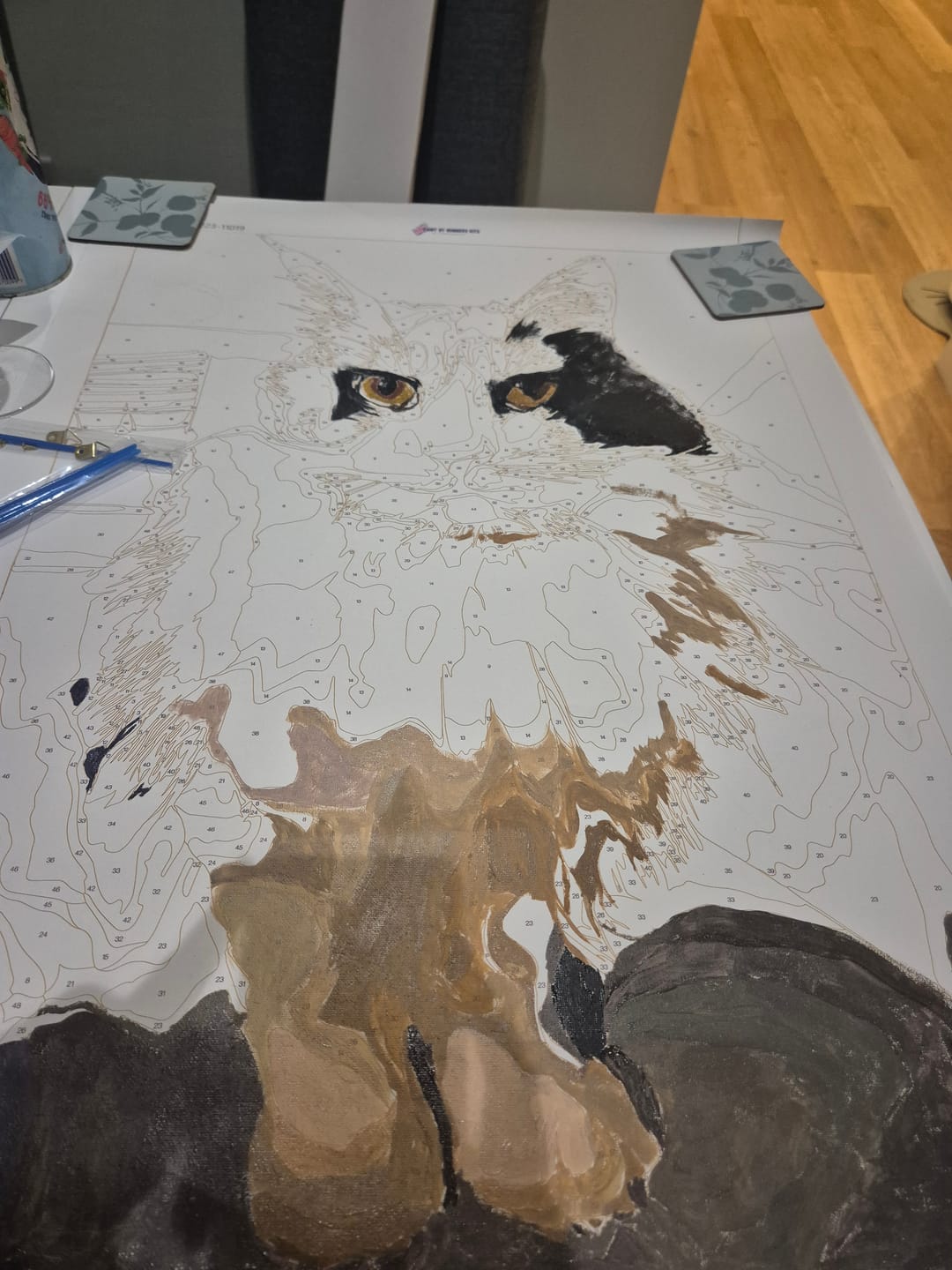 Customer photo review of Custom Paint By Numbers