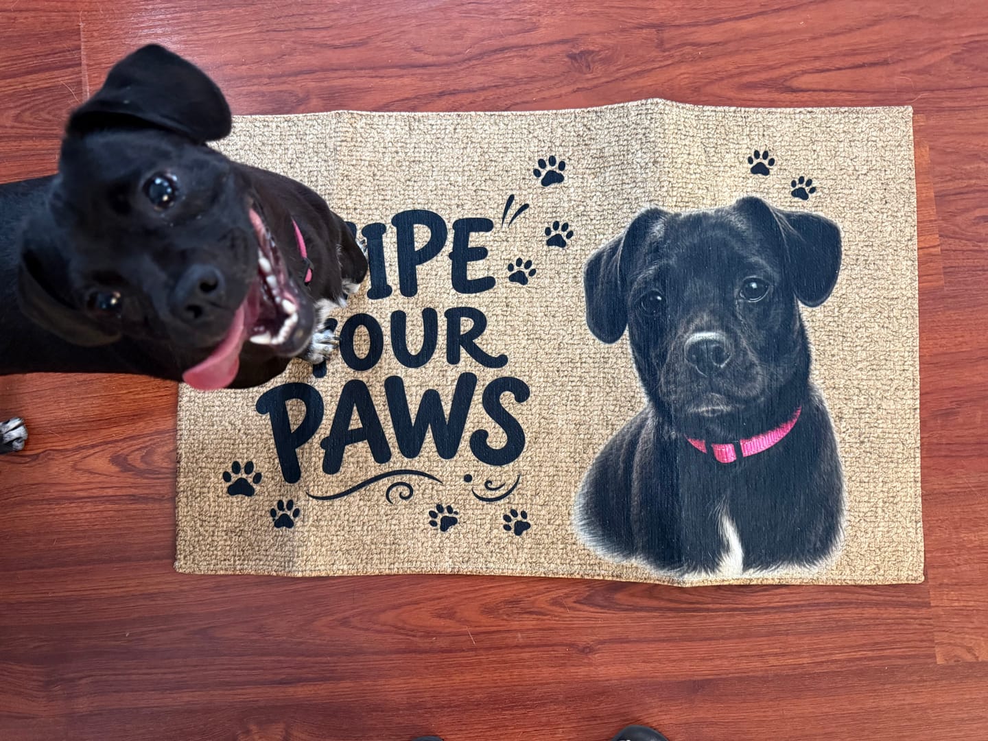 Customer photo review of Wipe Your Paws - Personalized Doormat