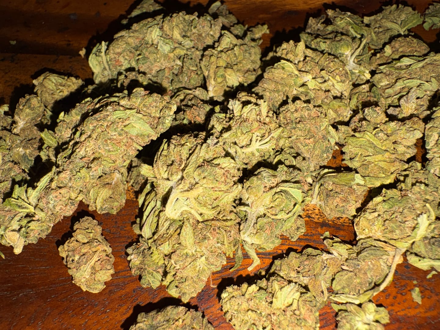 Customer photo review of OG Kush THCA Autoflower