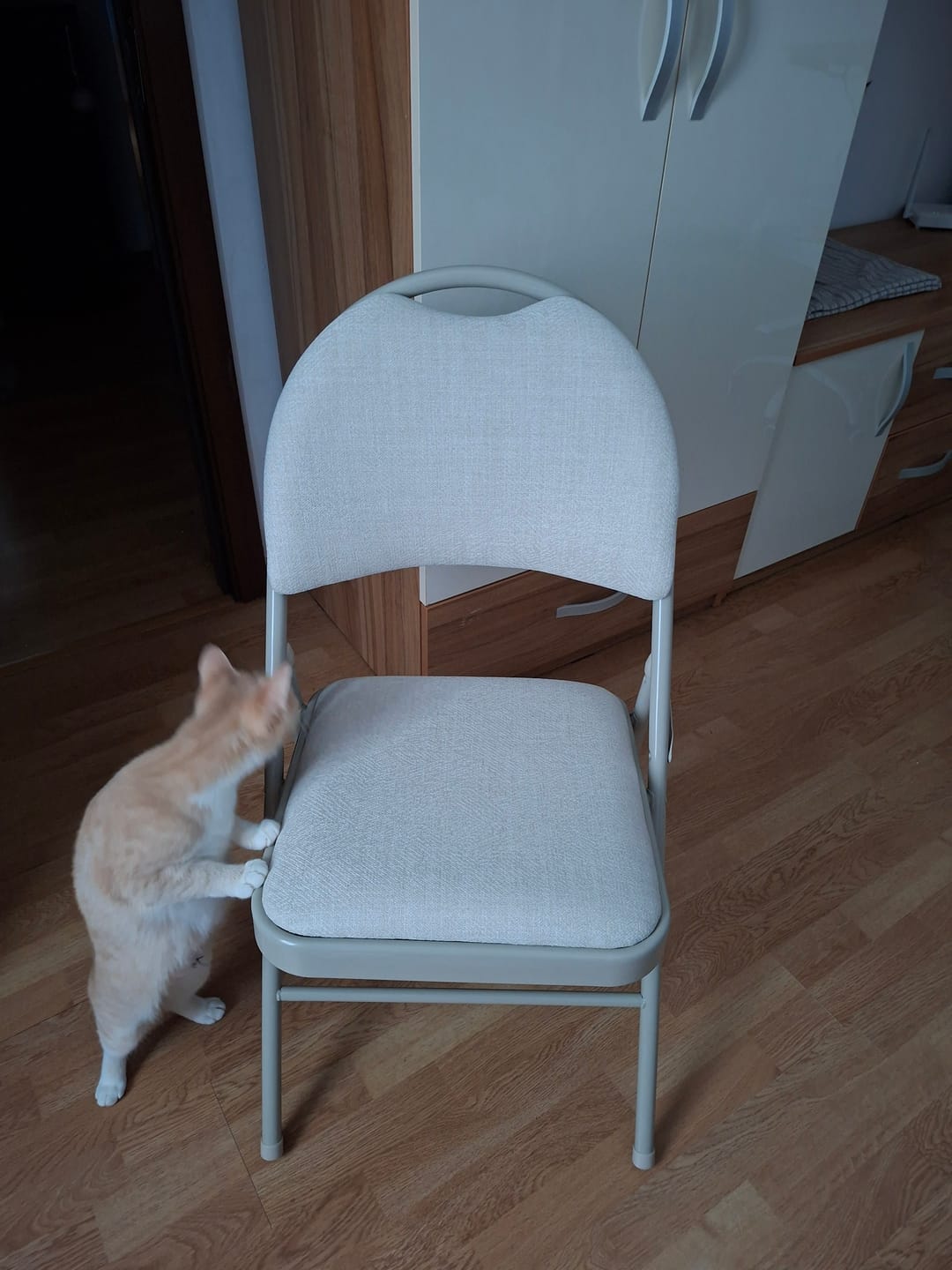 Customer photo review of Scaun K566, bej, stofa clasica/otel, 46x53x86 cm