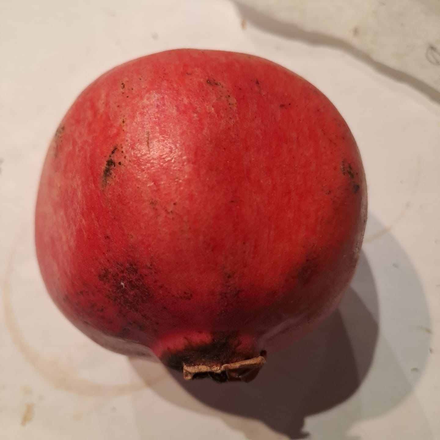 Customer photo review of Granatapfel Acco Bio von Apostolis Kreta