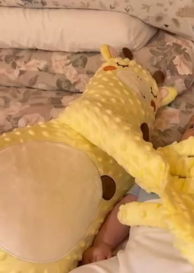 Customer photo review of Peluche relajante para perros
