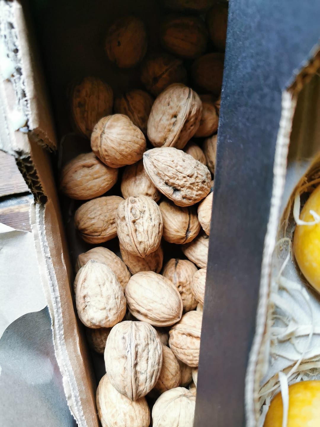 Customer photo review of Walnüsse „Franquette“ Bio original Grenoble AOP