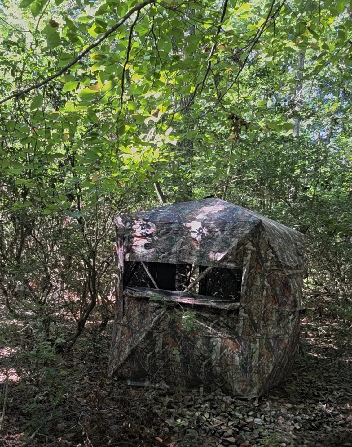 Customer photo review of VisTall 360 See-Through Ground Blind | 75-Inch 3 Person Pop Up Deer Blind with No-Trip Door | Portable Camo Hunting Blind with Blackout Curtain for Whitetail Deer Hunting