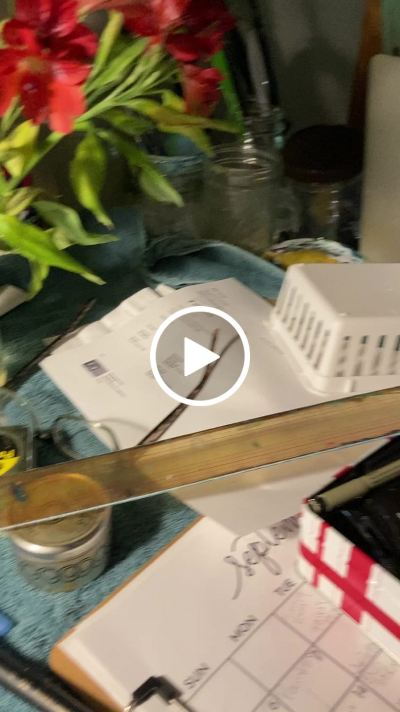 Customer video review of 50 Custom Stickers for $19