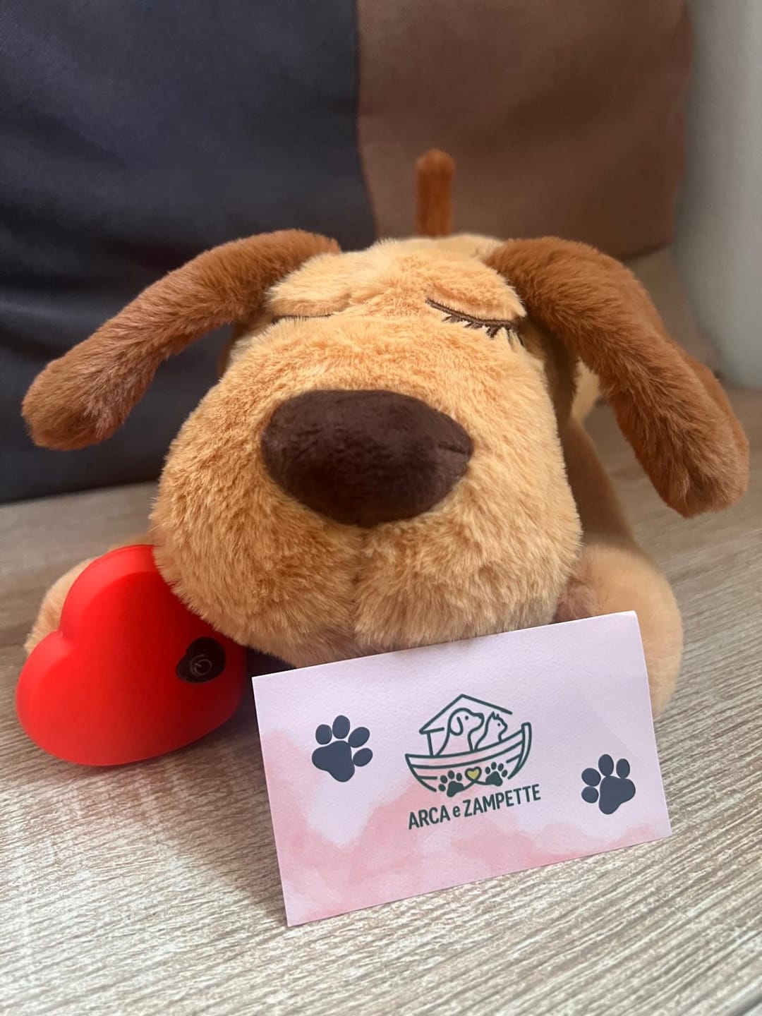 Customer photo review of Abbracciotto™ – Peluche Anti Ansia per Cani e Gatti