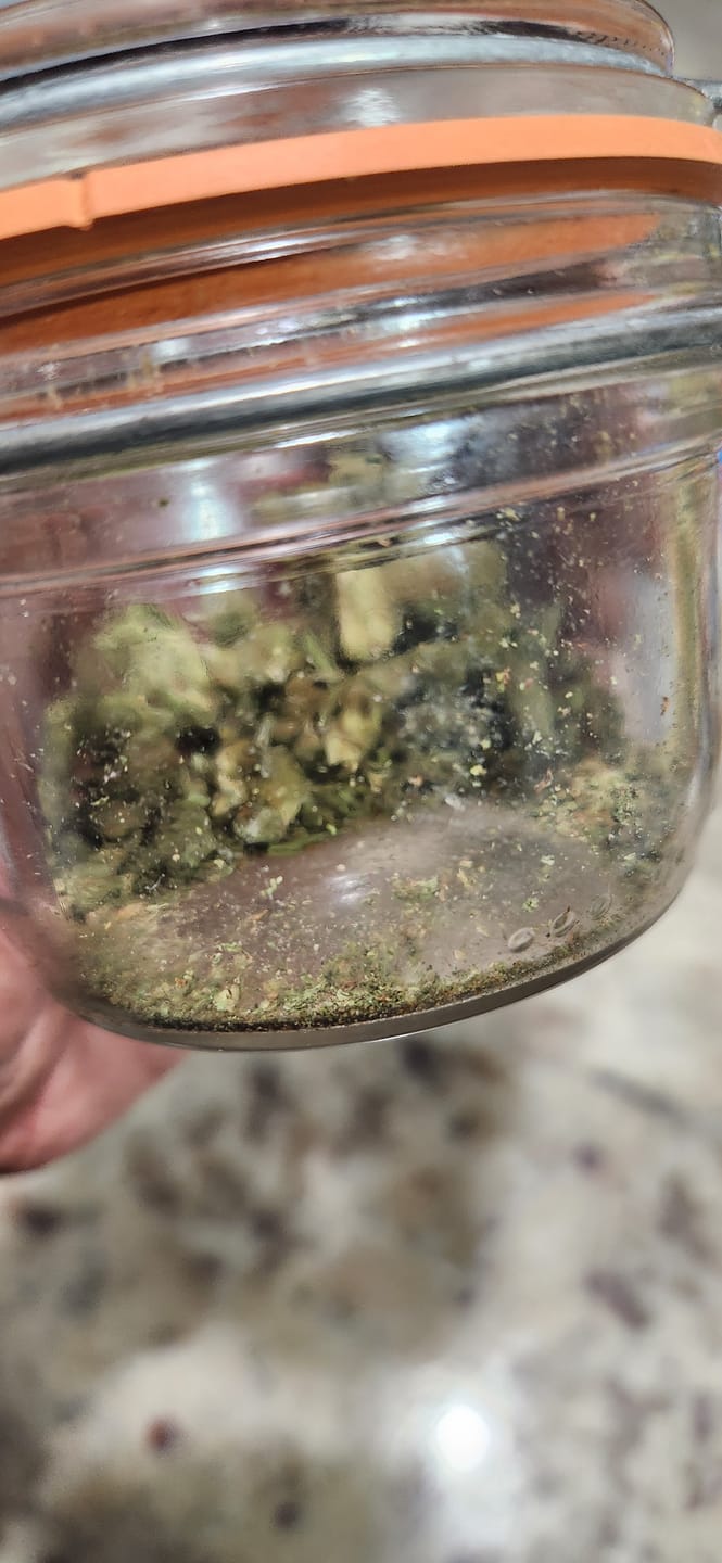 Customer photo review of Blueberry Cough - 28 Grams - Sativa