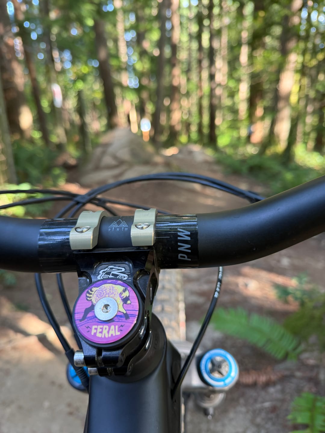 Customer photo review of Jimothy Topcap