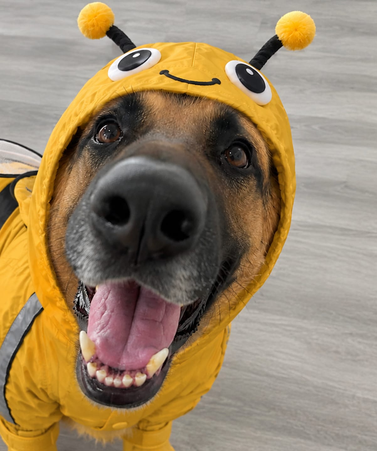 Customer photo review of Bumblebee Rain Suit
