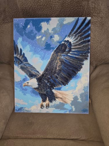 Customer photo review of Bald Eagle (Diamond Painting)