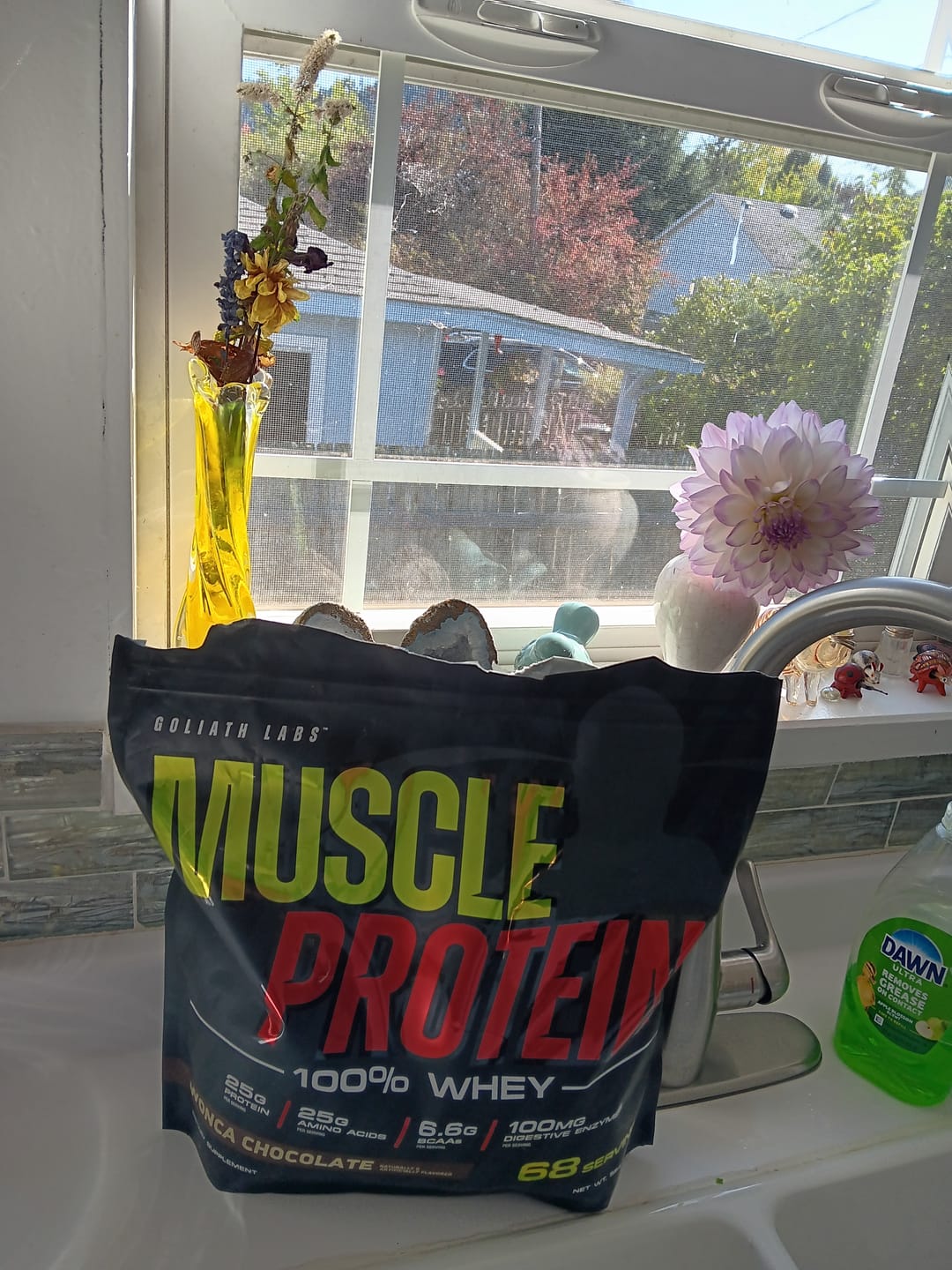 Customer photo review of 100% Whey Protein Powder