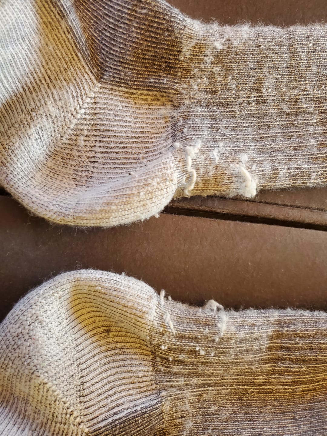 Customer photo review of 3 PAIR - J.B. Field's Best of All Season Merino Wool Hiking (Assorted)